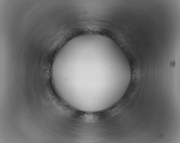 X0000110920464200907021503
