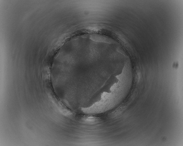 X0000110920467200907021504
