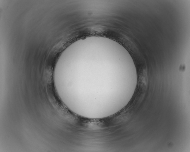 X0000110920468200907021504