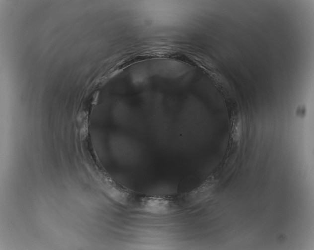 X0000110920471200907021504