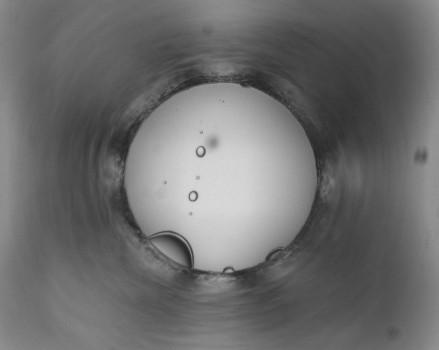 X0000110920476200907021504