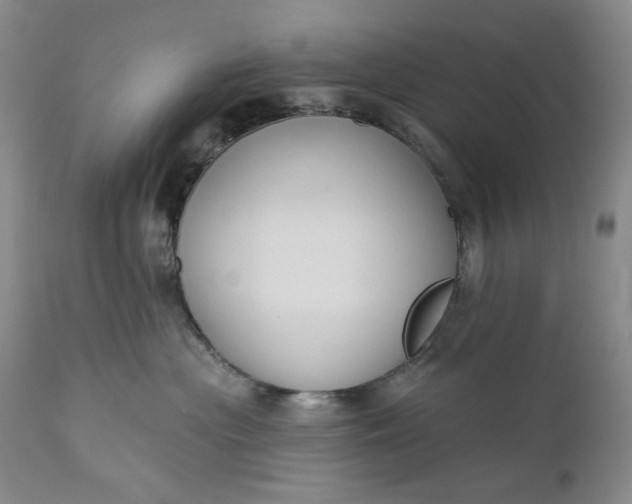 X0000110920477200907021504