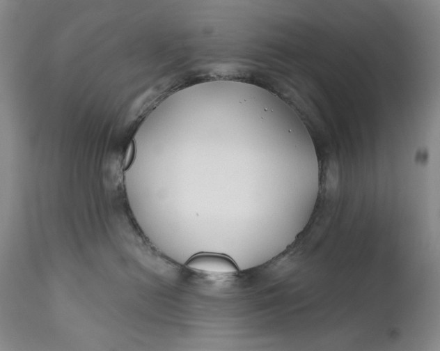 X0000110920478200907021504