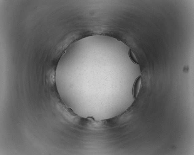 X0000110920479200907021504