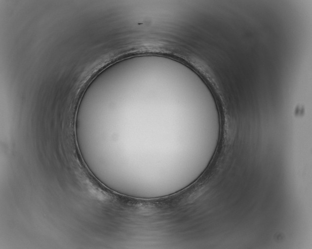 X0000110920481200907021503