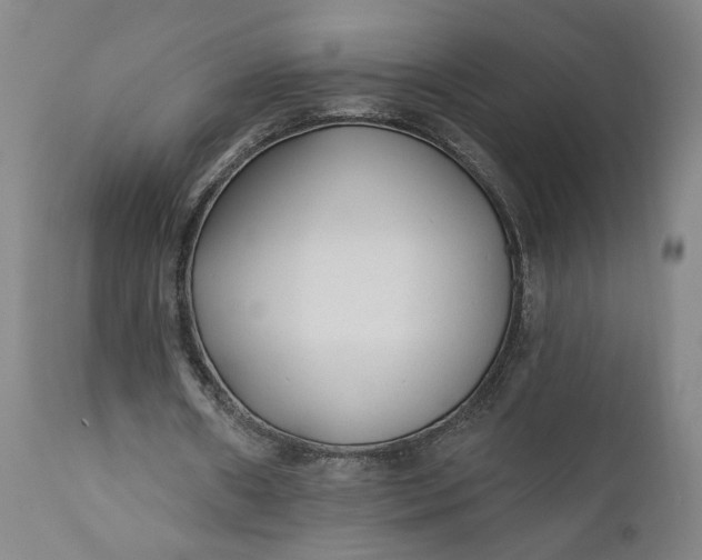 X0000110920482200907021503