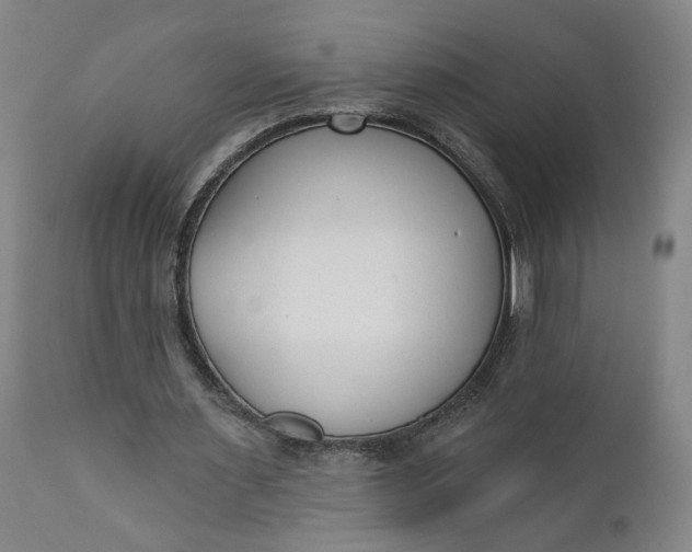 X0000110920483200907021503