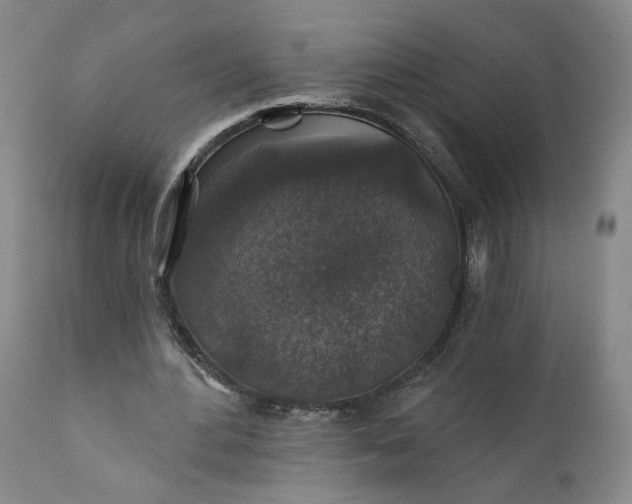 X0000110920484200907021503