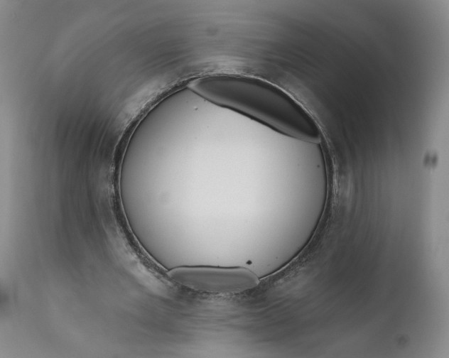 X0000110920485200907021503