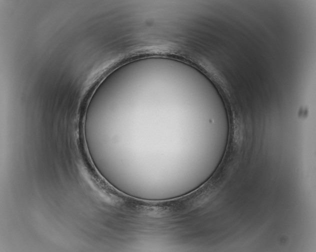 X0000110920486200907021503