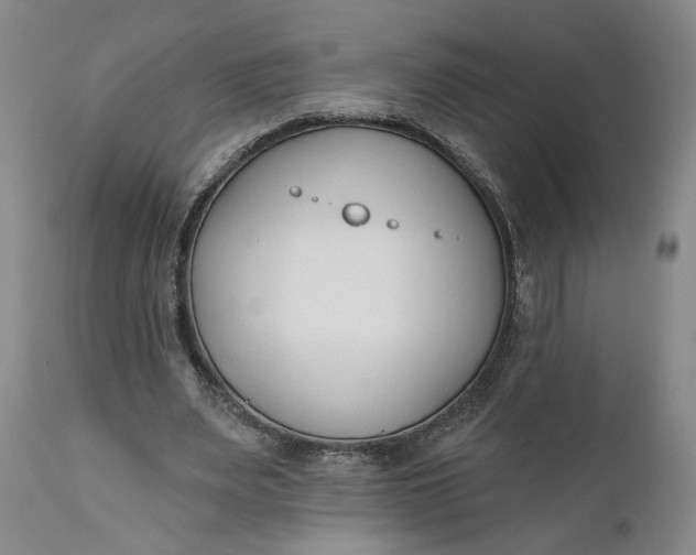 X0000110920487200907021503