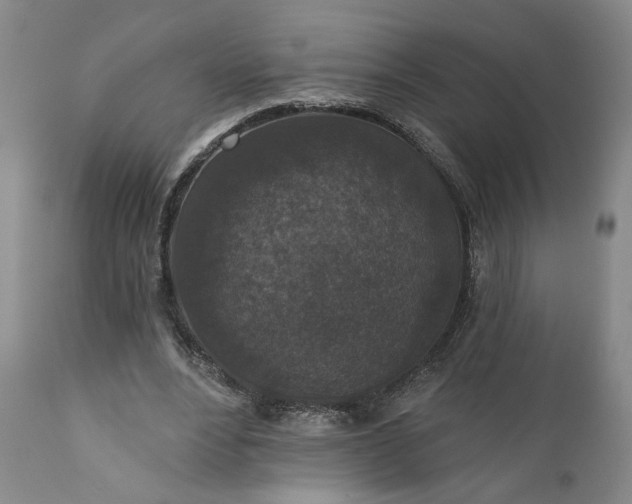 X0000110920488200907021503