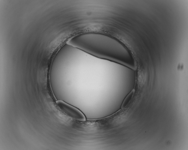 X0000110920493200907021503