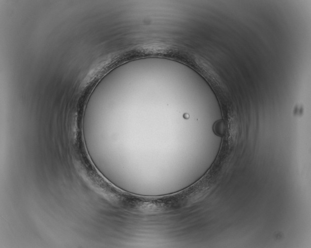 X0000110920494200907021503