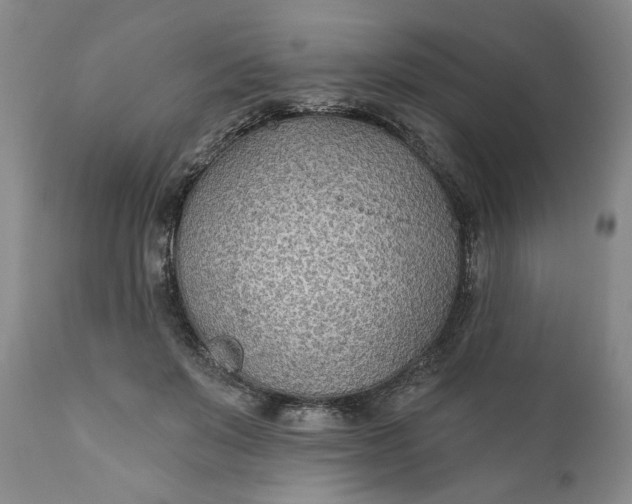 X0000110920503200907021503