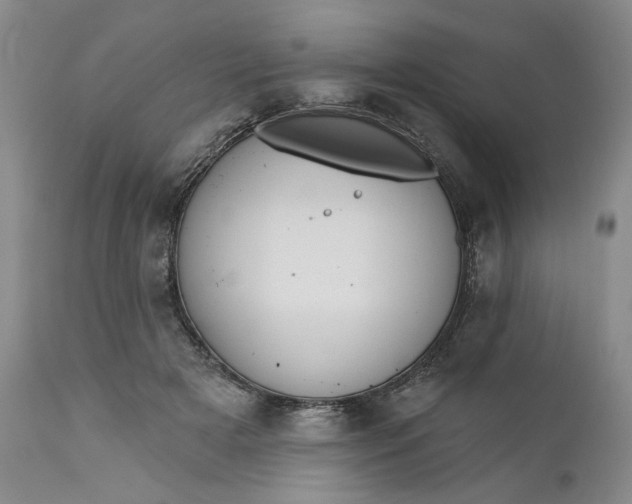 X0000110920505200907021503