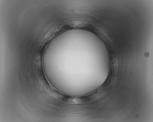 X0000110920506200907021503
