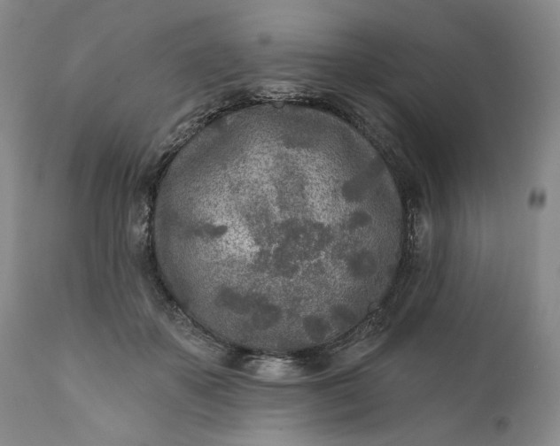 X0000110920507200907021503