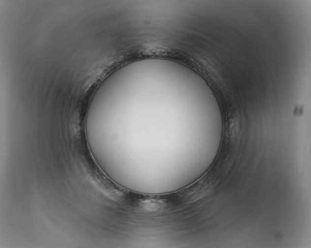 X0000110920508200907021503