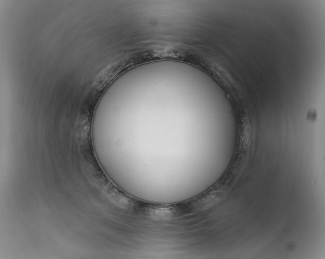 X0000110920513200907021503