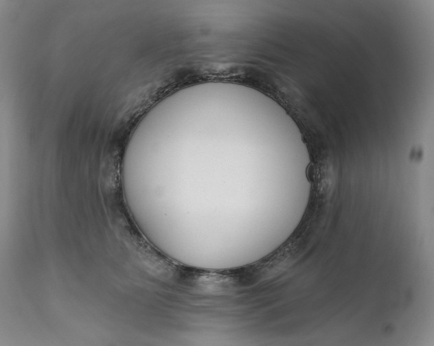 X0000110920515200907021503