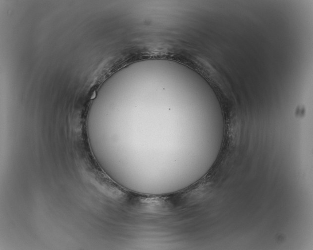 X0000110920516200907021503