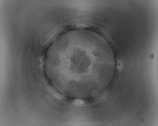 X0000110920519200907021502