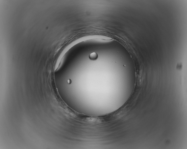 X0000110920520200907021502