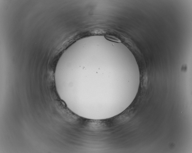 X0000110920521200907021502