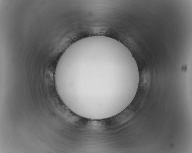 X0000110920522200907021502