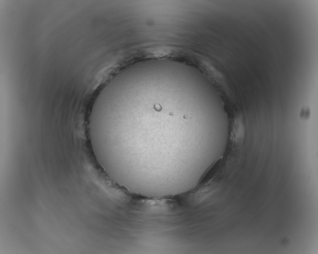 X0000110920524200907021502