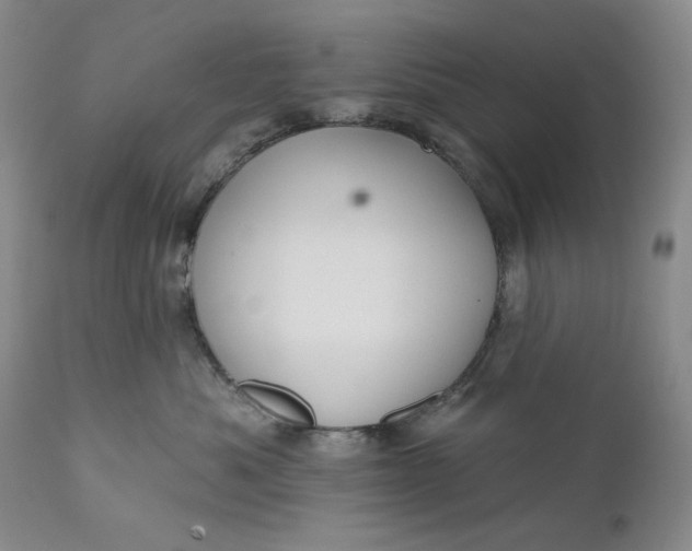 X0000110920525200907021502
