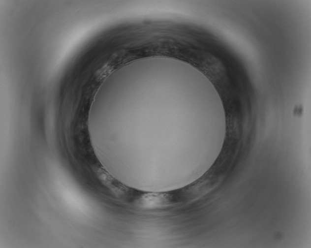 X0000110920526200907021502