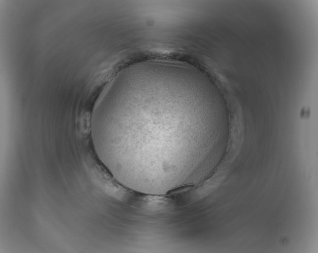 X0000110920528200907021502
