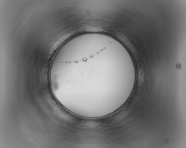 X0000110920533200907021501