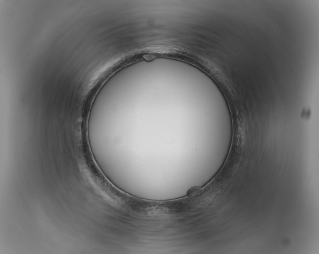 X0000110920535200907021501