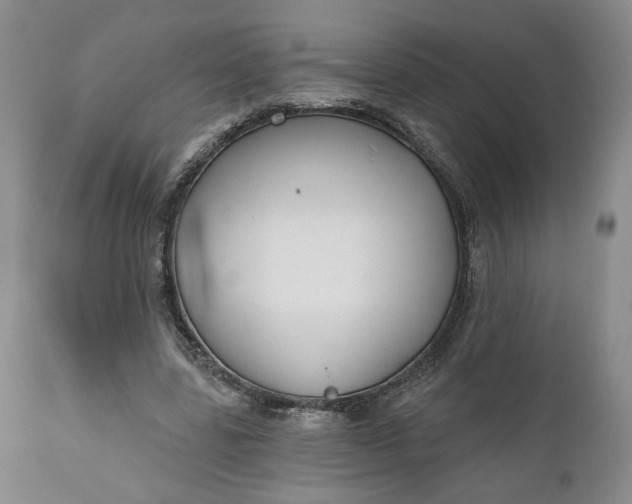 X0000110920539200907021501