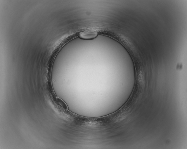 X0000110920540200907021501