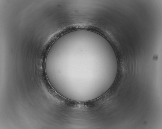 X0000110920543200907021502