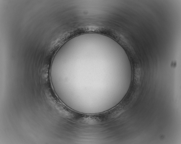 X0000110920545200907021502