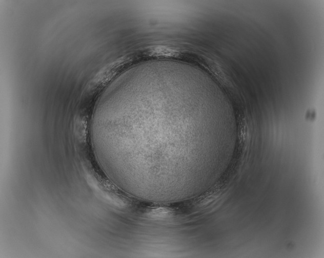 X0000110920551200907021502