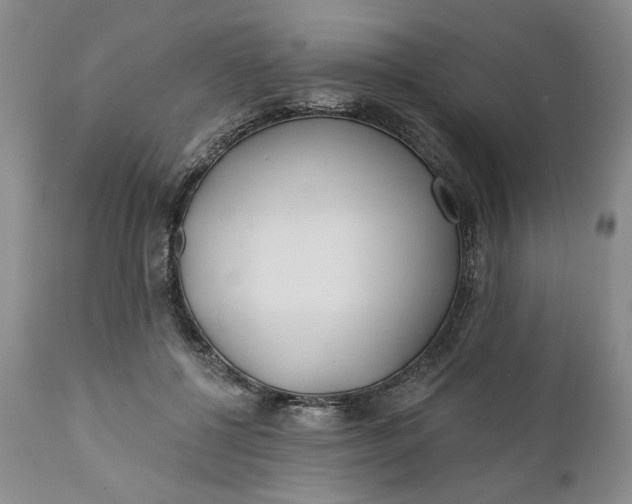 X0000110920552200907021502
