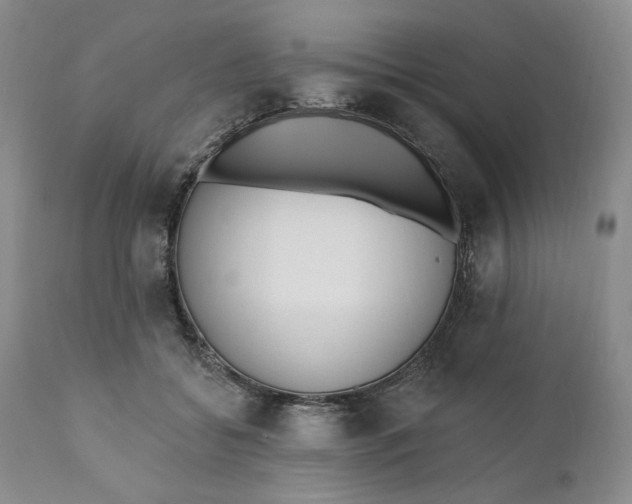 X0000110920556200907021502