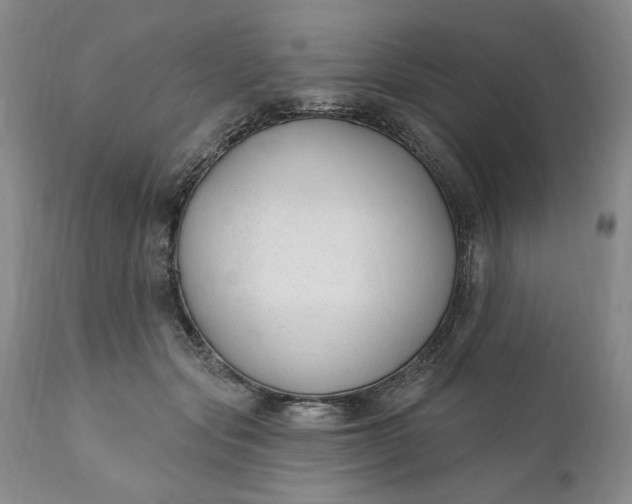 X0000110920557200907021502