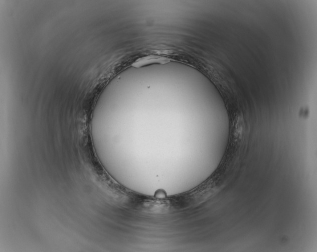 X0000110920559200907021502
