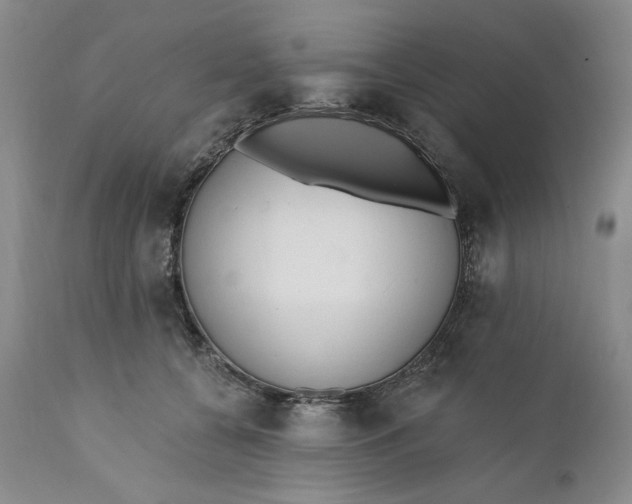 X0000110920560200907021502