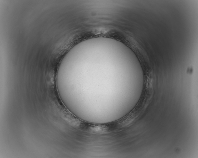 X0000110920561200907021502
