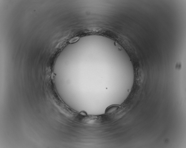 X0000110920563200907021502