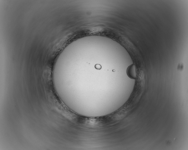 X0000110920565200907021502