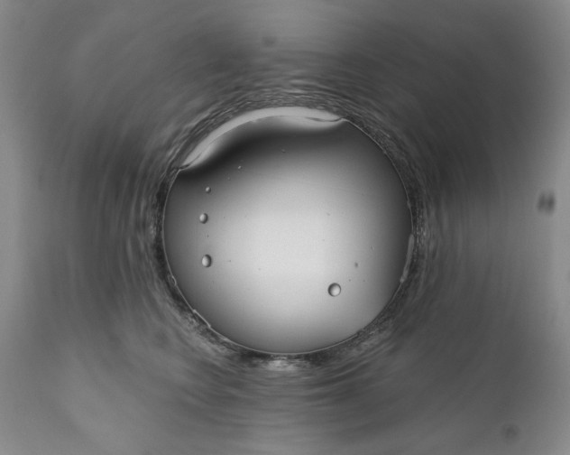X0000110920566200907021502